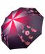 Жіноча парасоля-напівавтомат з принтом від Flagman, Квітковий,135-6  135-6 фото | ANANASKO