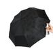 Женский зонт-полуавтомат на 10 спиц Bellisimo "Flower land", проявка, черный цвет, 461-4 461-4 фото 1 | ANANASKO