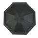 Жіноча механічна парасоля Flagman "Малютка" черний колір, 504-3 504-3 фото 2 | ANANASKO