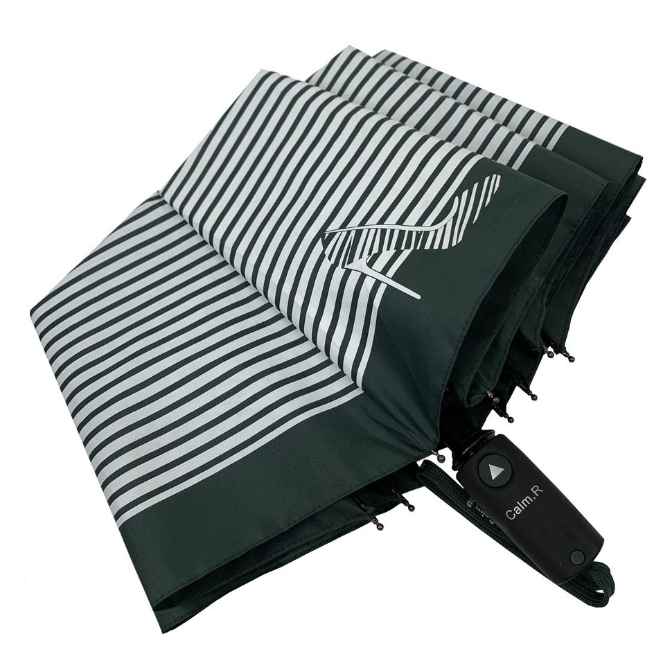 Жіноча парасоля-напівавтомат в смужку, Calm Rain, темно-зелений, 220-1  220-1 фото | ANANASKO