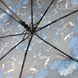 Женский зонт-полуавтомат на 8 спиц, от SL "Fantasy", 35006-5 35006-5 фото 3 | ANANASKO
