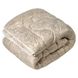 Одеяло двуспальное из холлофайбера 180х210 осень/зима/весна Ananasko C2 C2(2,0) фото 1 | ANANASKO