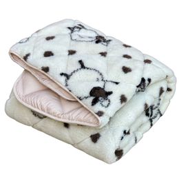 Одеяло меховое двустороннее полуторное 155х210 осень/зима/весна Ananasko KH6 за 1 040 грн фото 1 | ANANASKO