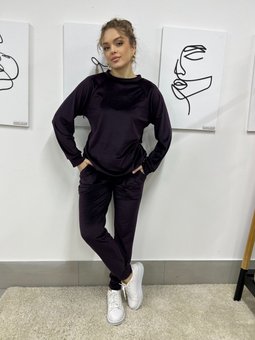 Женский костюм велюровый темно-фиолетовый 48 р Lakerta PV3  PV3(48) фото | ANANASKO