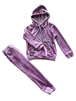 Спортивний костюм для дівчинки фіолетовий Ananasko D1(128) за 550 грн