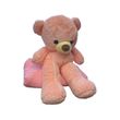 Детский плед 150х120 см с игрушкой Медвежонок розовый Ananasko P321