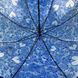 Дитяча прозора парасолька-тростина з ажурним принтом від SL, синій, 18102-2 18102-2 фото 4 | ANANASKO