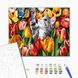 Картина за номерами Котик в тюльпанах GX27243 фото 1 | ANANASKO