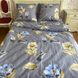 Комплект постельного белья семейный Бязь Полиэстер Ananasko 71014 71014(s) фото 2 | ANANASKO