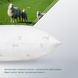 Подушка з овечою вовною 70х70 біла PURE WOOL ТЕП 3-00468 3-00468 фото 4 | ANANASKO