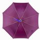 Дитяча парасолька тростина "хамелеон" однотонна, Flagman, оливковий, 502-2 502-2 фото 5 | ANANASKO
