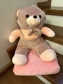 Детский плед 150х120 см с игрушкой Медвежонок Ananasko P301  P301 фото