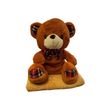 Детский плед 150х120 см с игрушкой Медвежонок рыжий Ananasko P327