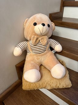 Дитячий плед 150х120 см з іграшкою Ведмедик Ananasko P302  P302 фото