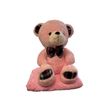 Детский плед 150х120 см с игрушкой Медвежонок розовый Ananasko P329