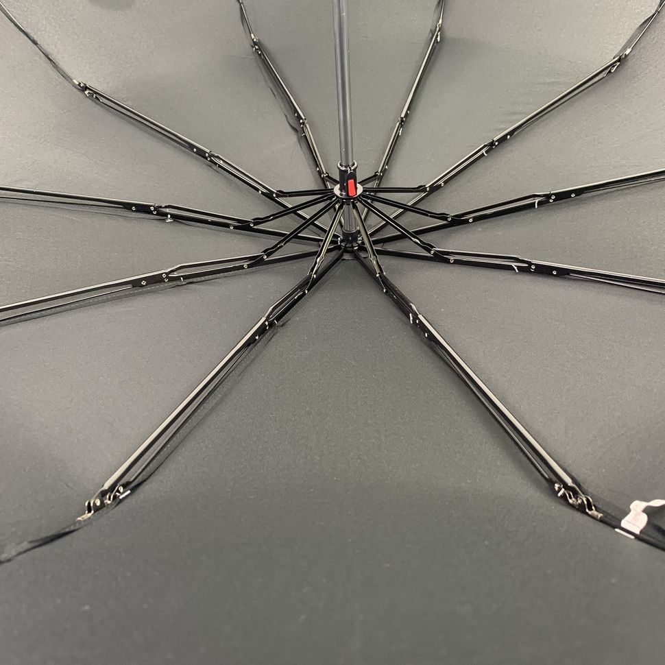 Механічна чоловіча парасолька MAX, чорний, 096-1  096-1 фото | ANANASKO