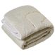 Одеяло полуторное 150х210 холлофайбер Ananasko B115 B115(1,5) фото 1 | ANANASKO