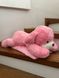 Детский плед 150х120 см с игрушкой Пудель розовый Ananasko P294 P294 фото 2 | ANANASKO