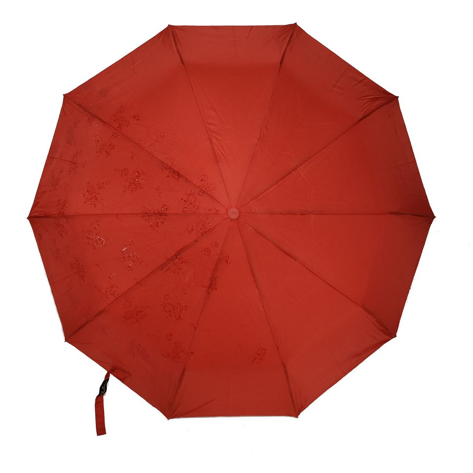 Женский зонт-полуавтомат на 10 спиц Bellisimo "Flower land", проявка, красный цвет, 461-6  461-6 фото | ANANASKO