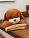 Дитячий плед 150х120 см з іграшкою Пудель темно-коричневий Ananasko P293 P293 фото 1 | ANANASKO