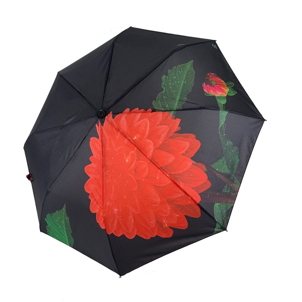 Жіноча парасолька-напівавтомат Swifts "Жоржина" чорний колір, 18035-1  18035-1 фото | ANANASKO