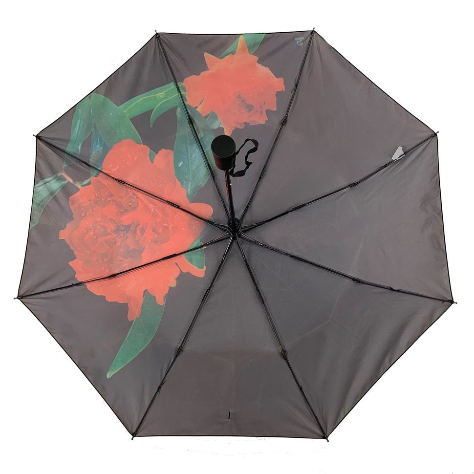 Жіноча парасолька-напівавтомат Swifts "Жоржина" чорний колір, 18035-1  18035-1 фото | ANANASKO