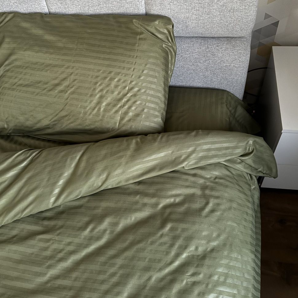 Комплект постельного белья двуспальный евро Страйп Микросатин Ananasko 906350-2
