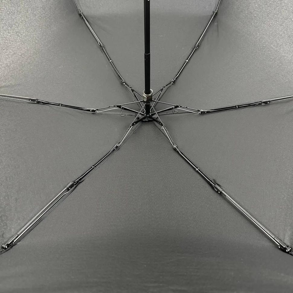 Минизонт механический в капсуле на 6 спиц черный Rainbrella 0260-1  0260 фото | ANANASKO