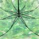 Прозрачный зонт-трость c кленовыми листьями, Fabia, зеленый, 306К-1 306К-1 фото 5 | ANANASKO