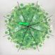 Прозрачный зонт-трость c кленовыми листьями, Fabia, зеленый, 306К-1 306К-1 фото 4 | ANANASKO