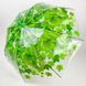 Прозрачный зонт-трость c кленовыми листьями, Fabia, зеленый, 306К-1 306К-1 фото 1 | ANANASKO