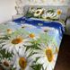 Комплект постельного белья двуспальный евро Бязь Полиэстер Ananasko 85179 85179(e) фото 2 | ANANASKO