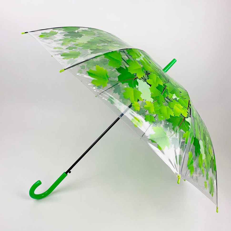 Прозрачный зонт-трость c кленовыми листьями, Fabia, зеленый, 306К-1  306К-1 фото | ANANASKO