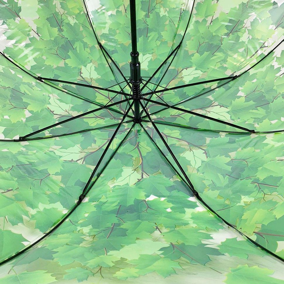 Прозора парасоля-тростина з кленовим листям, Fabia, зелений, 306К-1  306К-1 фото | ANANASKO
