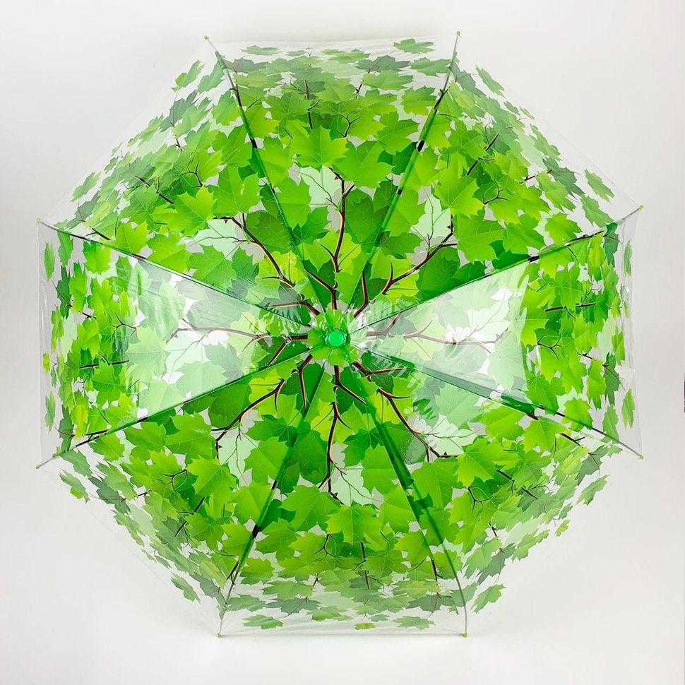 Прозрачный зонт-трость c кленовыми листьями, Fabia, зеленый, 306К-1  306К-1 фото | ANANASKO