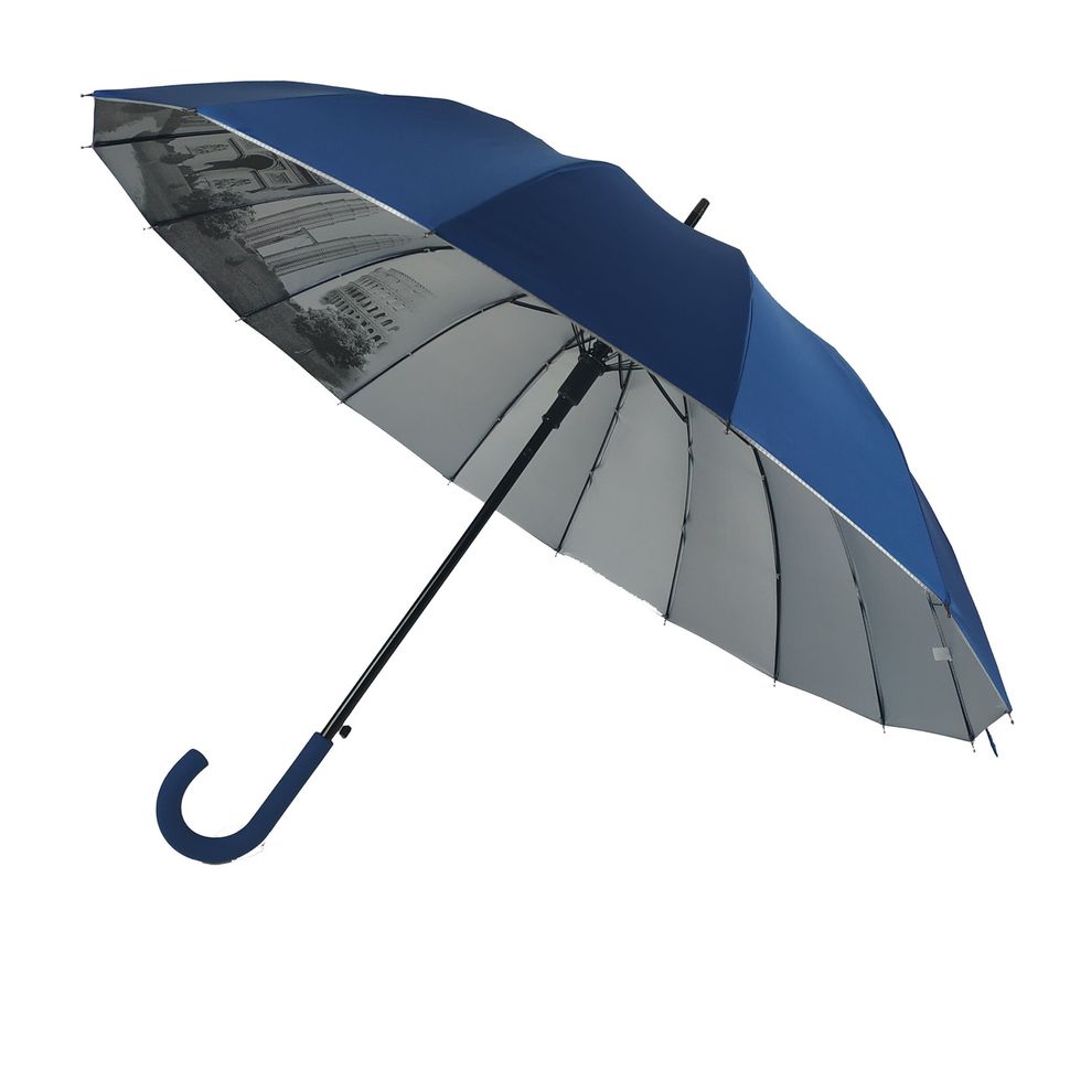 Женский зонт-трость с городами на серебристом напылении под куполом от Calm Rain, синий, 1011-1 за 836 грн
