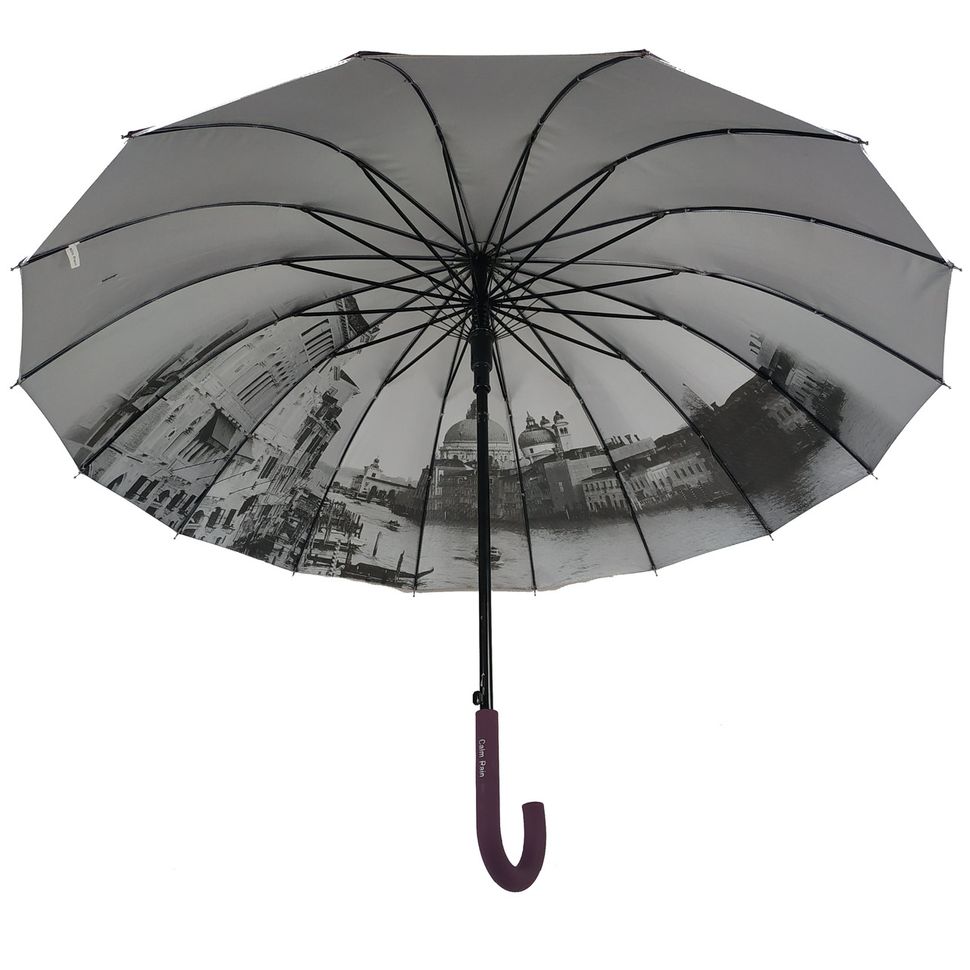 Женский зонт-трость с городами на серебристом напылении под куполом от Calm Rain, фиолетовый, 1011-5  1011-5 фото | ANANASKO