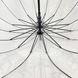 Прозрачный зонт-трость, полуавтомат с черной ручкой от "MAX", 1015-2 1015-2 фото 5 | ANANASKO