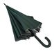 Женский зонт-трость с городами на серебристом напылении под куполом от Calm Rain, зеленый, 1011-8 1011-8 фото 5 | ANANASKO