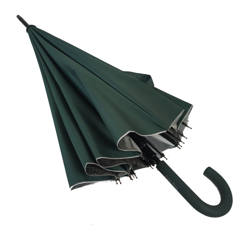 Женский зонт-трость с городами на серебристом напылении под куполом от Calm Rain, зеленый, 1011-8  1011-8 фото | ANANASKO
