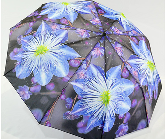 Женский зонт-полуавтомат на 10 спиц от SL, голубые цветы, 471-4