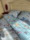 Комплект постельного белья двуспальный евро Бязь Полиэстер Ananasko 854709 854709(e) фото 2 | ANANASKO