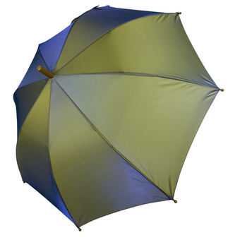Дитяча парасоля-тростина хамелеон з водовідштовхувальним просоченням, Toprain034-5 за 263 грн