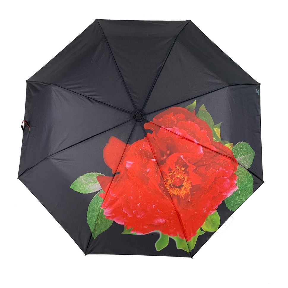 Женский зонт-полуавтомат Swifts "Кустовая роза" черный цвет, 18035-4  18035-4 фото | ANANASKO