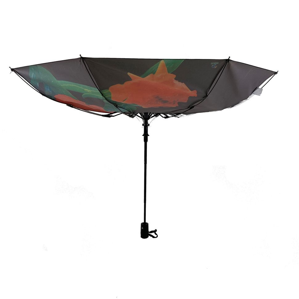 Жіноча парасолька-напівавтомат Swifts "Кущова троянда" чорний колір, 18035-4  18035-4 фото | ANANASKO