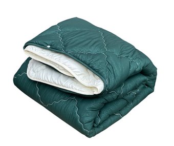 Одеяло 4 сезона полуторное зеленое+молочное 150х210 Ananasko KZ36 200 г/м² летнее, 300 г/м² зимнее KZ36(1,5) фото | ANANASKO